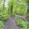 Woodland walk. Pic: G. Lehane, Grange Frankfield Partnership.