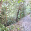 Entrance to Valley, August 2013. Pic: G. Lehane, Grange Frankfield Partnership.