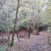 Entrance to Valley, November 2013. Pic: G. Lehane, Grange Frankfield Partnership.