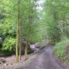 Entrance to Valley, May 2014. Pic: G. Lehane, Grange Frankfield Partnership.